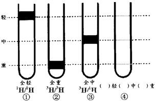 驗證DNA半保留復制的實驗設計與技術應用